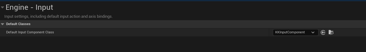 SetCustomInputConfig.png
